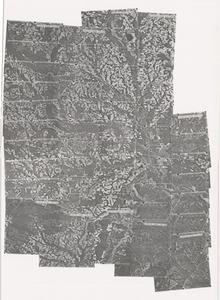 Evans County, 1974: Aerial photography index