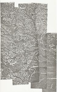 Evans County, 1981: Aerial photography index