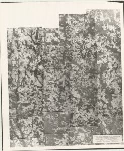 Fayette County, 1937: Aerial photography index