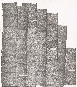Gilmer County, 1980-1981: Aerial photography index