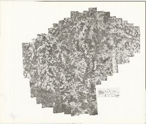 Glascock County, 1954: Aerial photography index