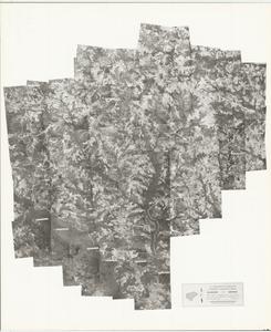 Glascock County, 1957: Aerial photography index
