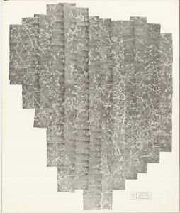 Greene County, 1955: Aerial photography index