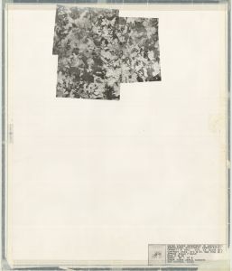 Gwinnett County, 1938: Aerial photography