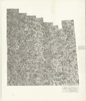 Gwinnett County, 1949-1950: Aerial photography