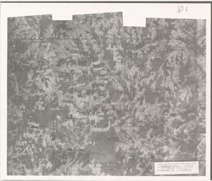 Heard County, 1938: Aerial photography index