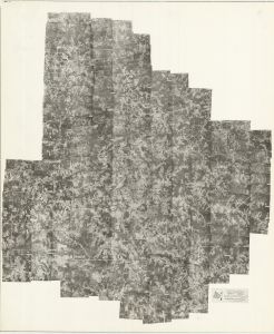Henry County, 1955: Aerial photography index