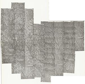 Irwin County, 1982: Aerial photography index
