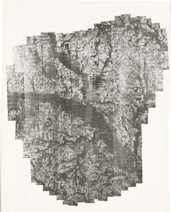 Jenkins County, 1954: Aerial photography index