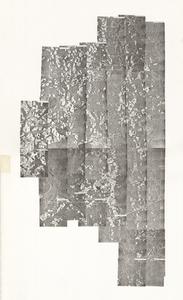 Lanier County, 1967-1968: Aerial photography index