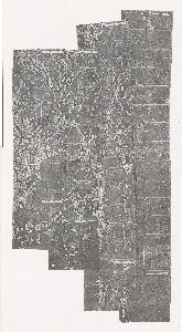 Lanier County, 1974: Aerial photography index