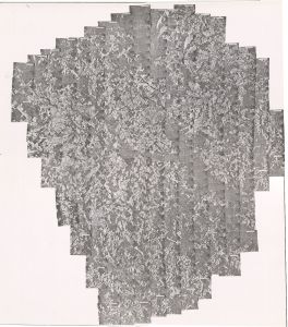 Laurens County, 1969: Aerial photography index