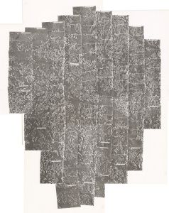 Laurens County, 1979: Aerial photography index