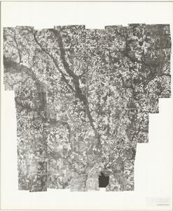 Lee County, 1953: Aerial photography index