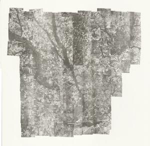Lee County, 1962: Aerial photography index