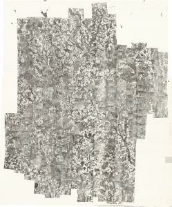 Lowndes County, 1952: Aerial photography