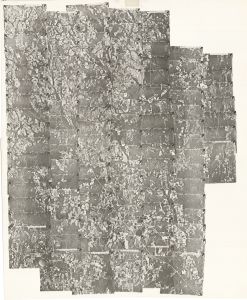 Lowndes County, 1979: Aerial photography