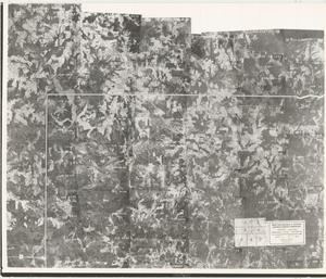 Monroe County, 1938: Aerial photography index