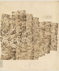 Oglethorpe County, 1942: Aerial photography