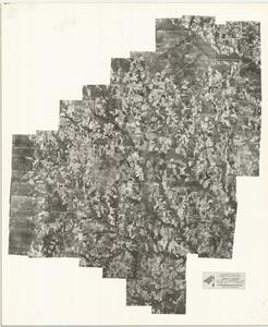 Peach County, 1955: Aerial photography index