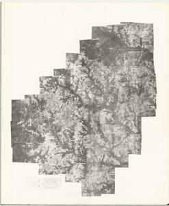 Peach County, 1958: Aerial photography index
