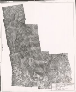 Pickens County, 1938: Aerial photography index