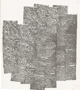 Pierce County, 1981: Aerial photography index