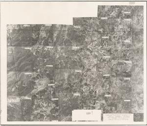 Polk County, 1938: Aerial photography index