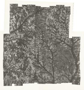 Randolph County, 1941: Aerial photography index