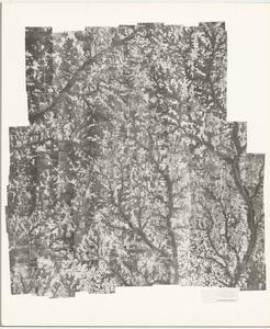 Randolph County, 1953: Aerial photography index