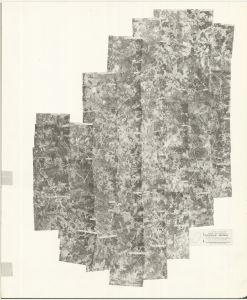 Rockdale County, 1960: Aerial photography