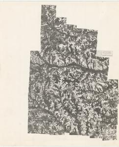 Schley County, 1949: Aerial photography index