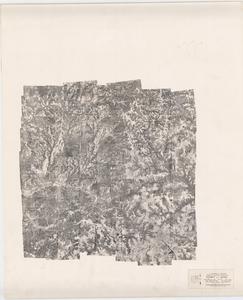 Stewart County, 1941: Aerial photography index