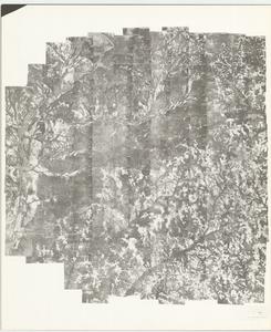 Stewart County, 1953: Aerial photography index