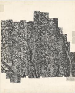 Sumter County, 1948: Aerial photography index