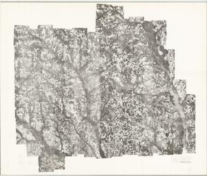 Sumter County, 1953: Aerial photography index