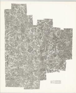 Taliaferro County, 1951: Aerial photography index