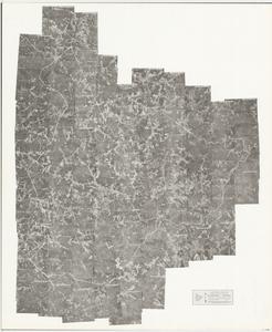 Taliaferro County, 1955: Aerial photography index