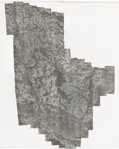 Tattnall County, 1962-1963: Aerial photography index