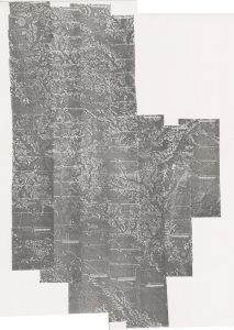 Tattnall County, 1974: Aerial photography index