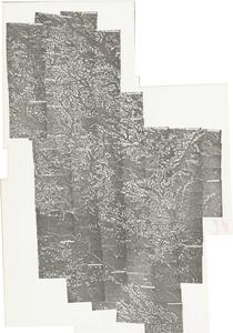 Tattnall County, 1981: Aerial photography index
