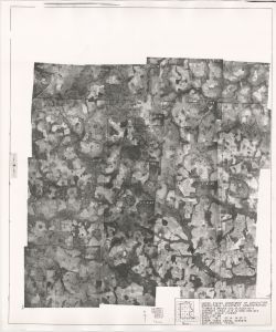 Thomas County, 1937-1938: Aerial photography index