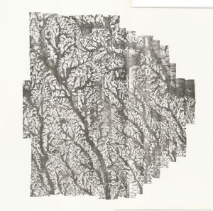 Tift County, 1953: Aerial photography index