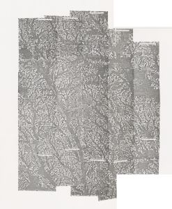 Tift County, 1975: Aerial photography index