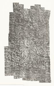 Toombs County, 1952: Aerial photography index
