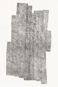 Toombs County, 1962: Aerial photography index