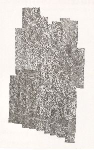 Toombs County, 1968: Aerial photography index