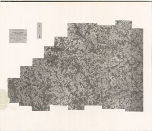 Walton County, 1939: Aerial photography