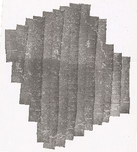 Wilkinson County, 1982: Aerial photography index