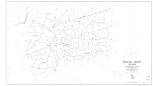 Bleckley County, Georgia